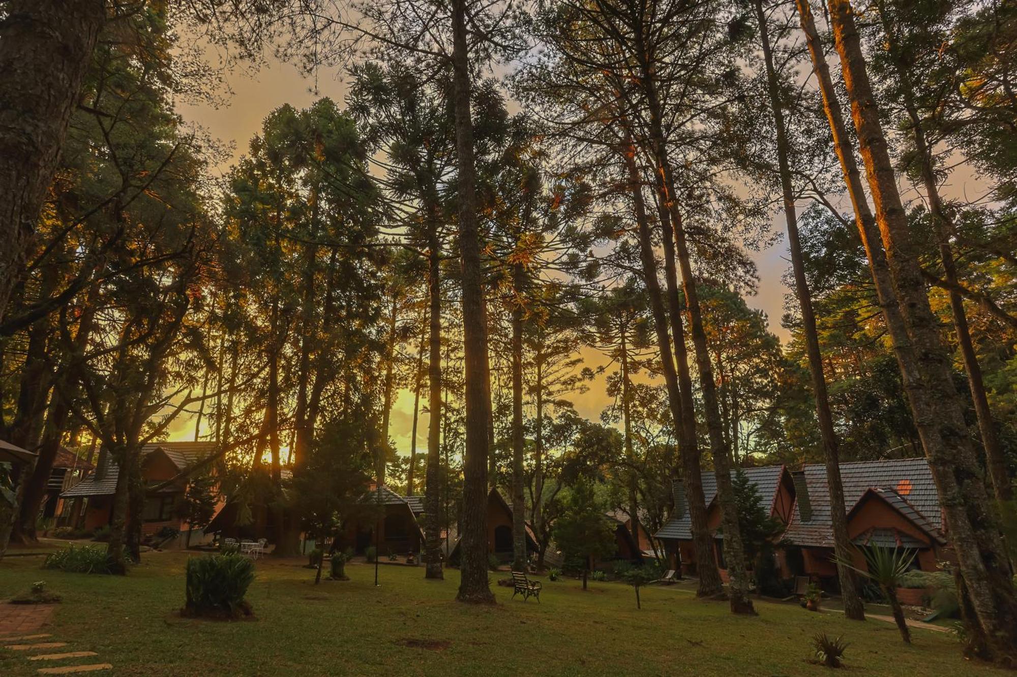 Pousada Cantos E Contos Monte Verde  Dış mekan fotoğraf